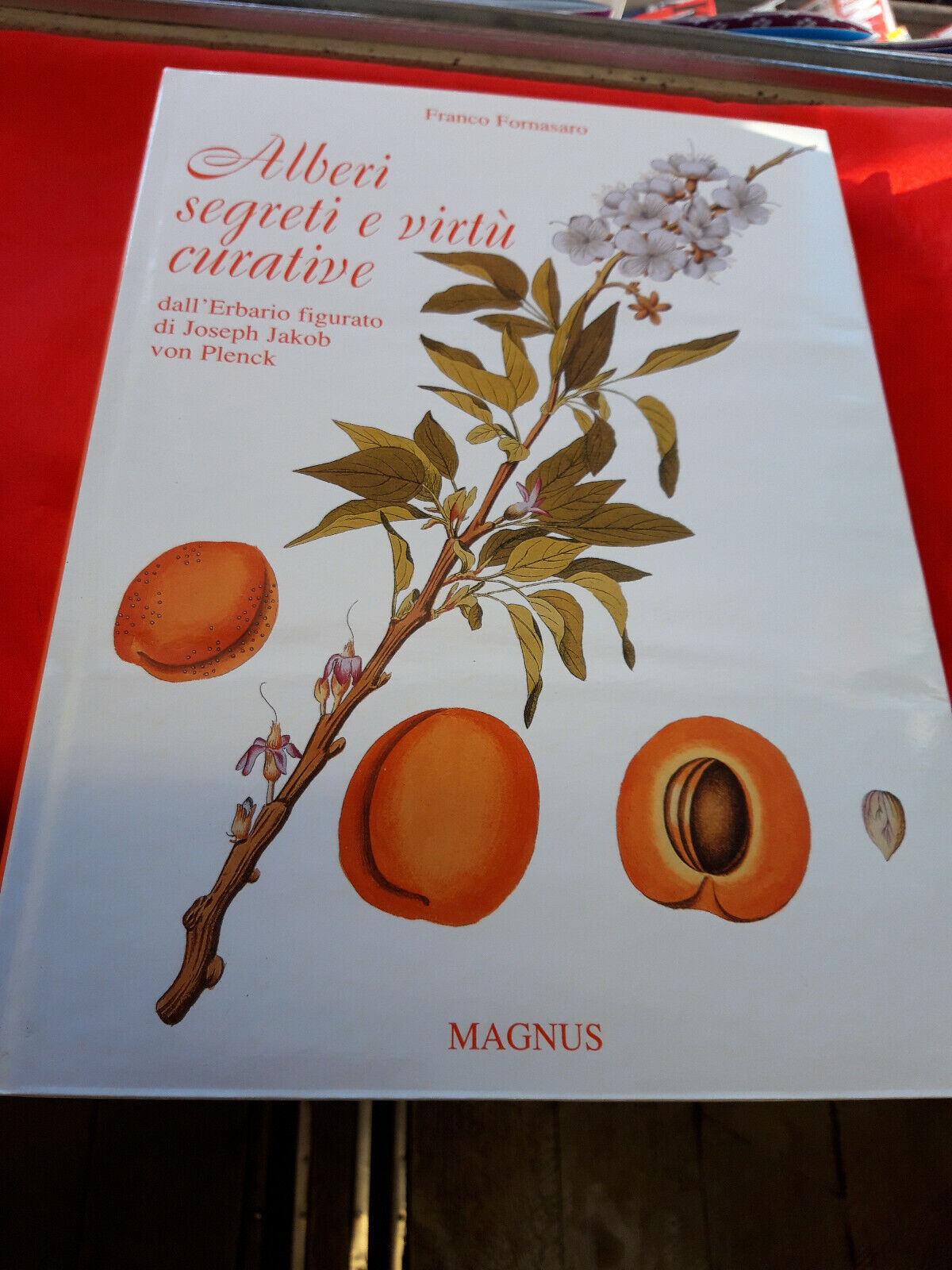 LIBRO - ALBERI SEGRETI E VIRTU' CURATIVE - F Fornasaro . 2003..................