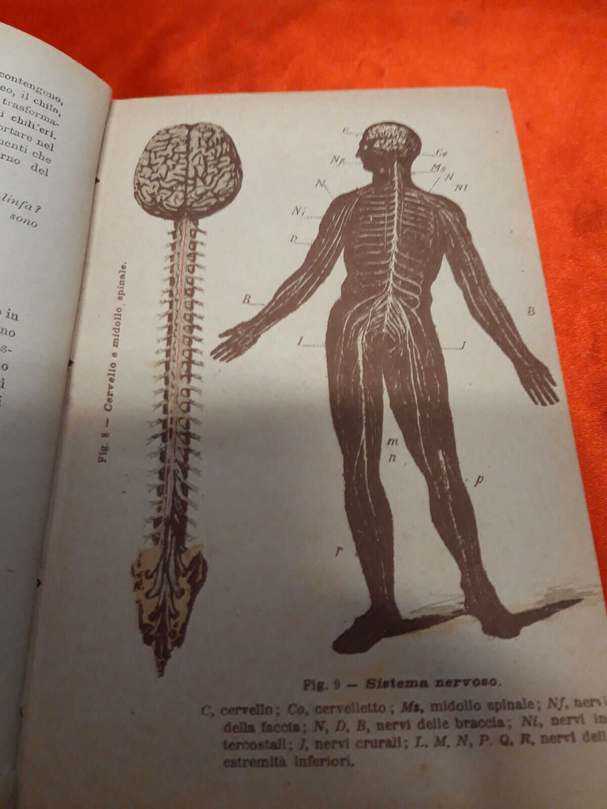 LIBRO " NOZIONI dI FISICA E DI STORIA NATURALE - Trevisini - fine 800.........