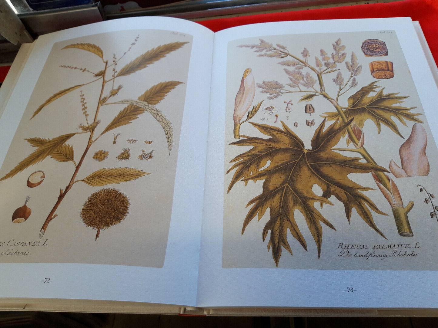 LIBRO - ALBERI SEGRETI E VIRTU' CURATIVE - F Fornasaro . 2003..................
