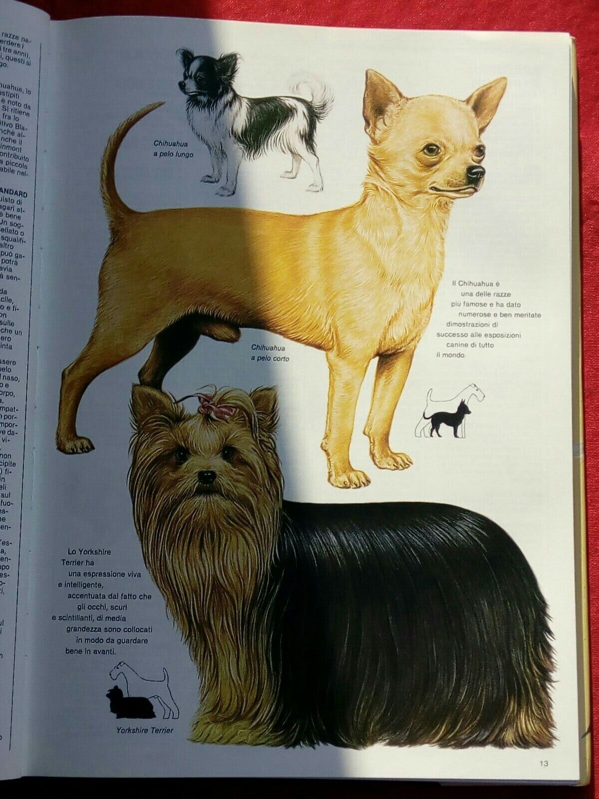 LIBRO, Enciclopedia della natura, Un cane proprio il tuo! L. Reverdito Editore