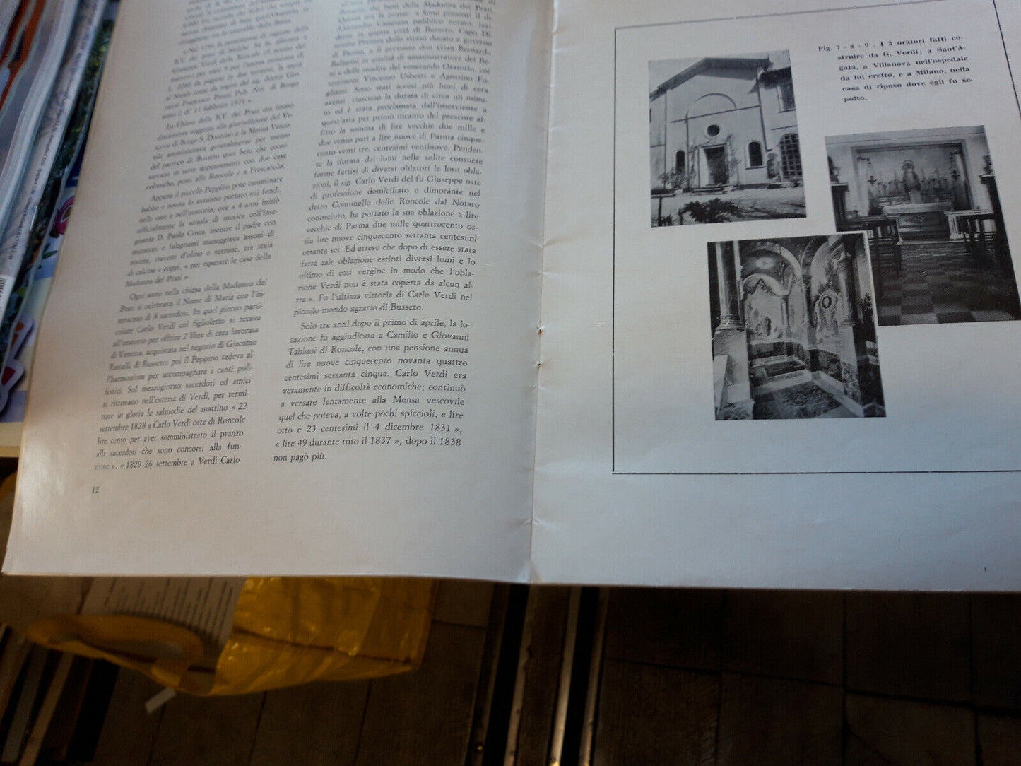 LIBRO - SPIGOLATURE D ARCHIVIO - Nuove spigolature Verdiane Don F Botti .1971