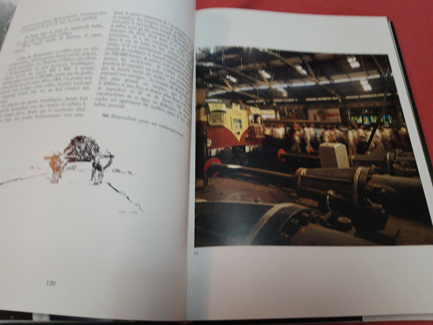 LIBRO - INDIE : PARADIS DES TRAINS - 1985 . lingua francese .................