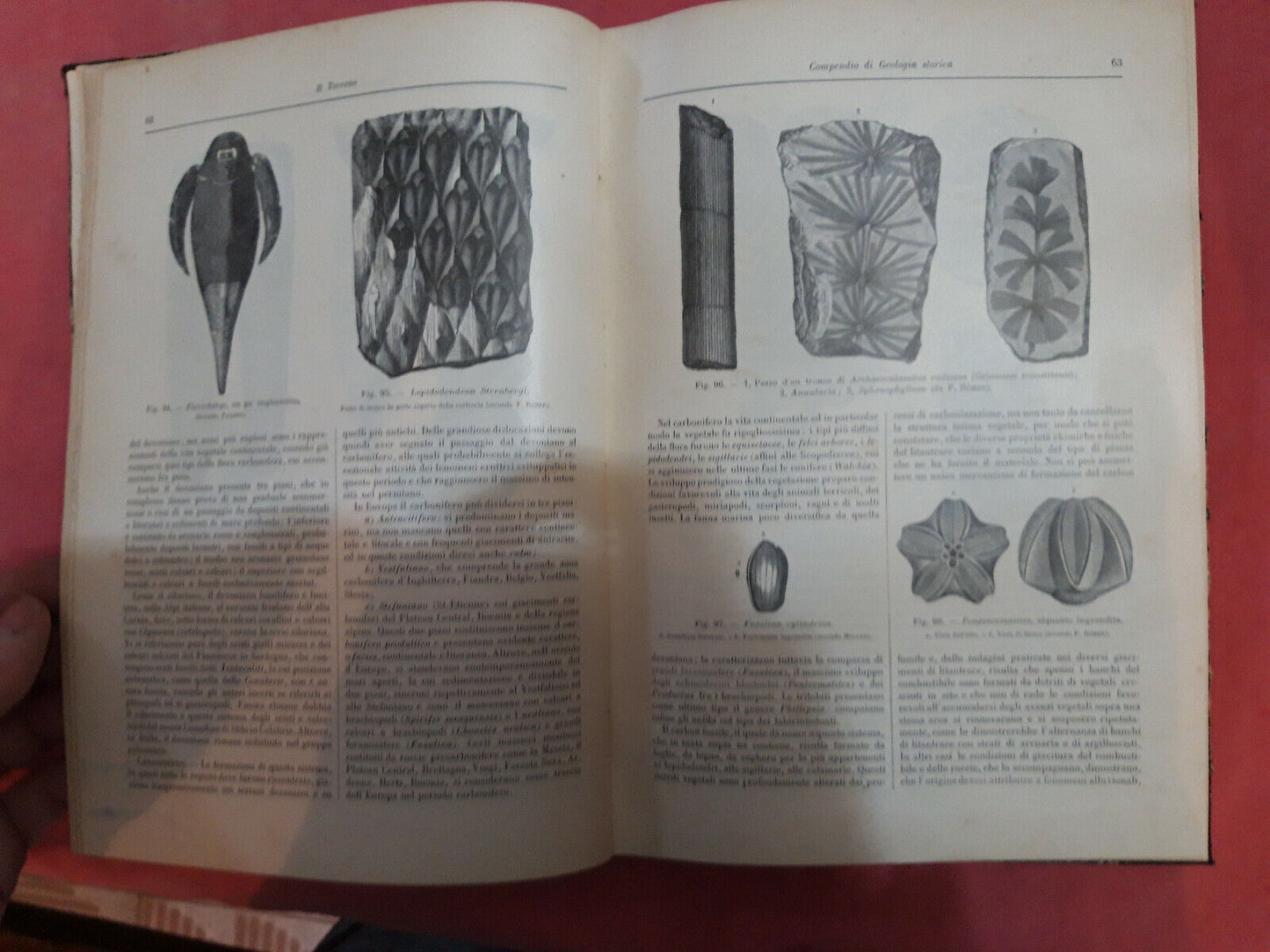 LIBRO " IL TERRENO. Nozioni di geologia dinamica, storica e agraria .1898.....