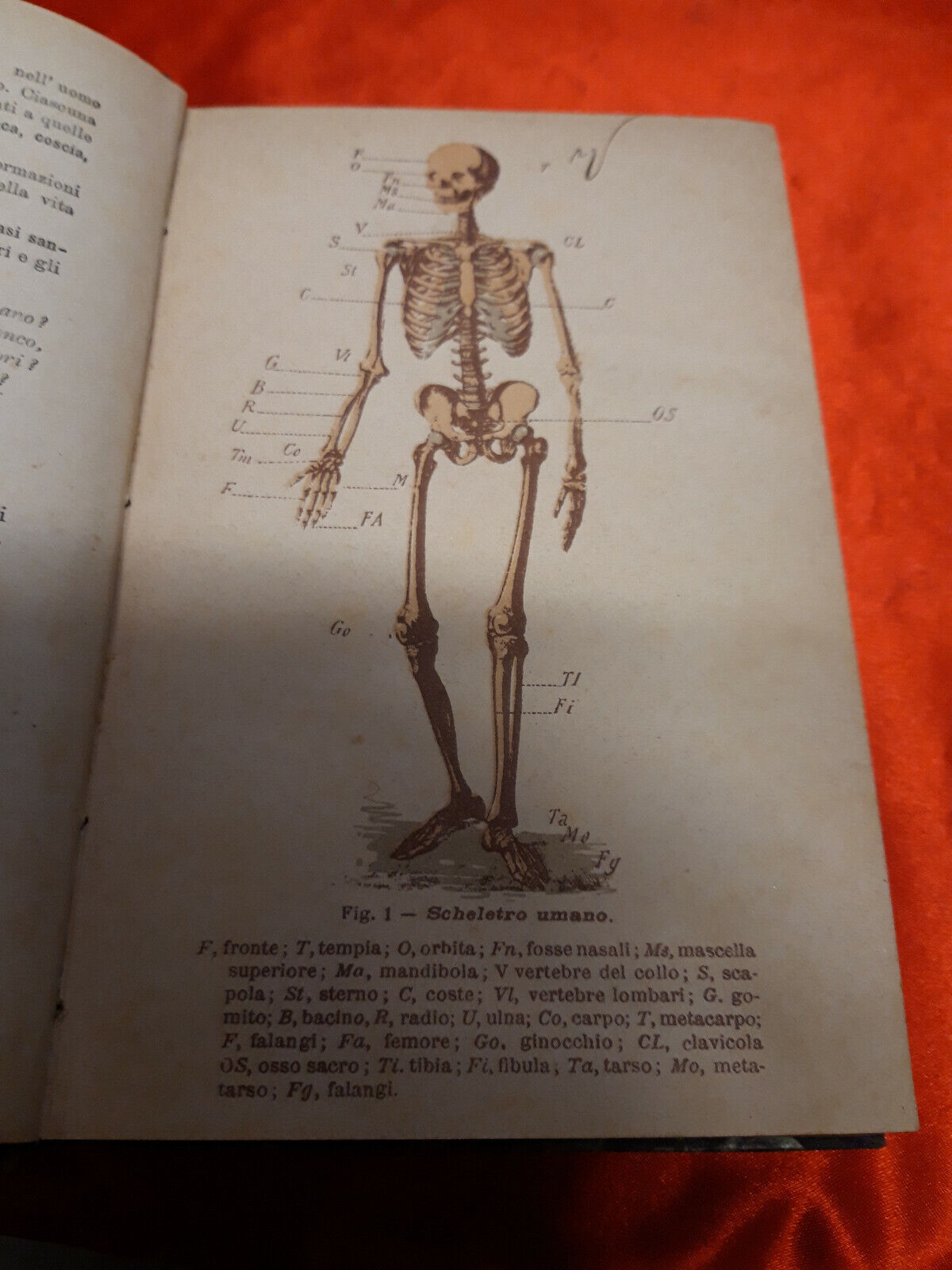 LIBRO " NOZIONI dI FISICA E DI STORIA NATURALE - Trevisini - fine 800.........