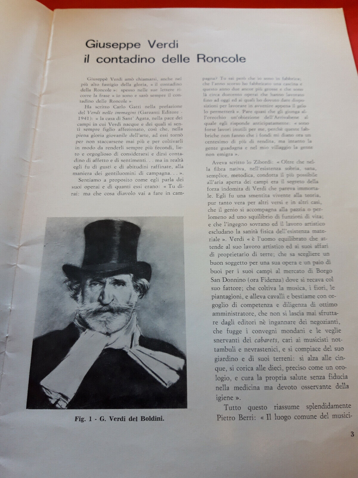 LIBRO - SPIGOLATURE D ARCHIVIO - Nuove spigolature Verdiane Don F Botti .1971