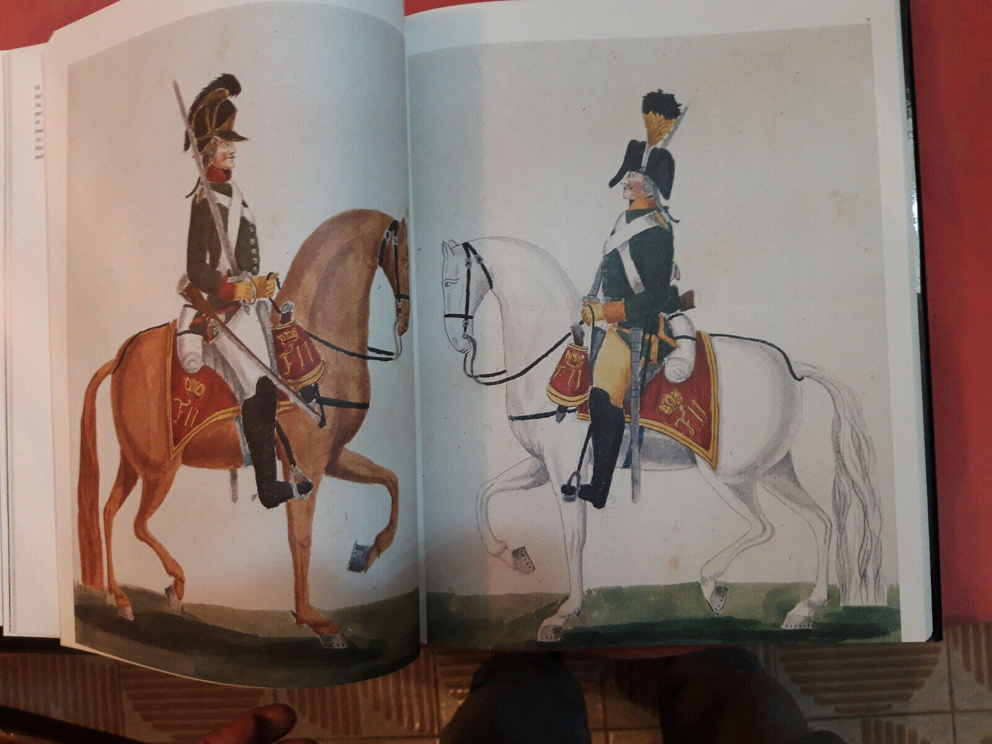 LIBRO "DALL'AQUILA IMPERIALE AL RITORNO DEI FRANCESI 1799 1801 ................