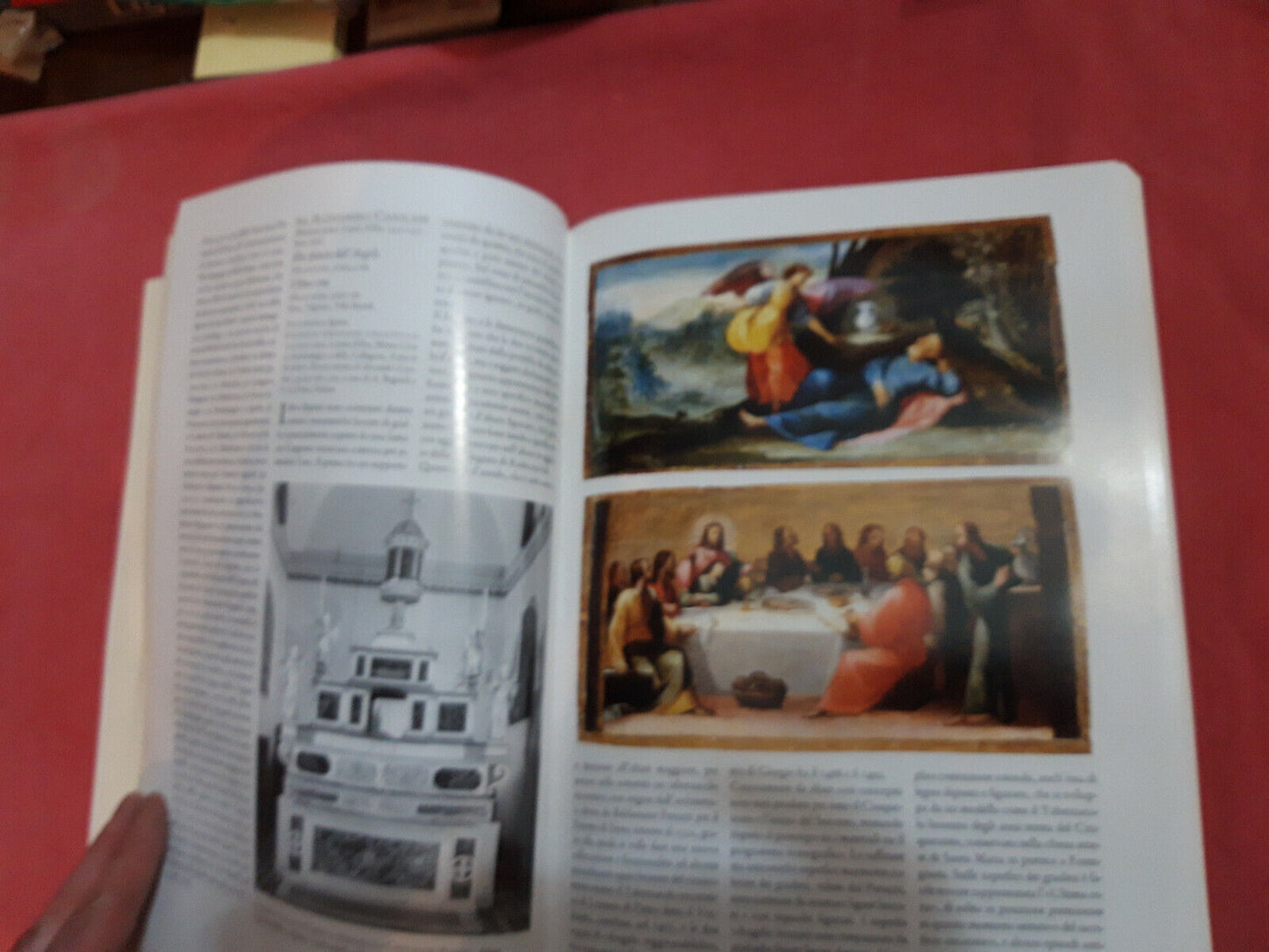 LIBRO " LA PASSIONE E L ARTE . edit Allemandi . L F Schianchi .................