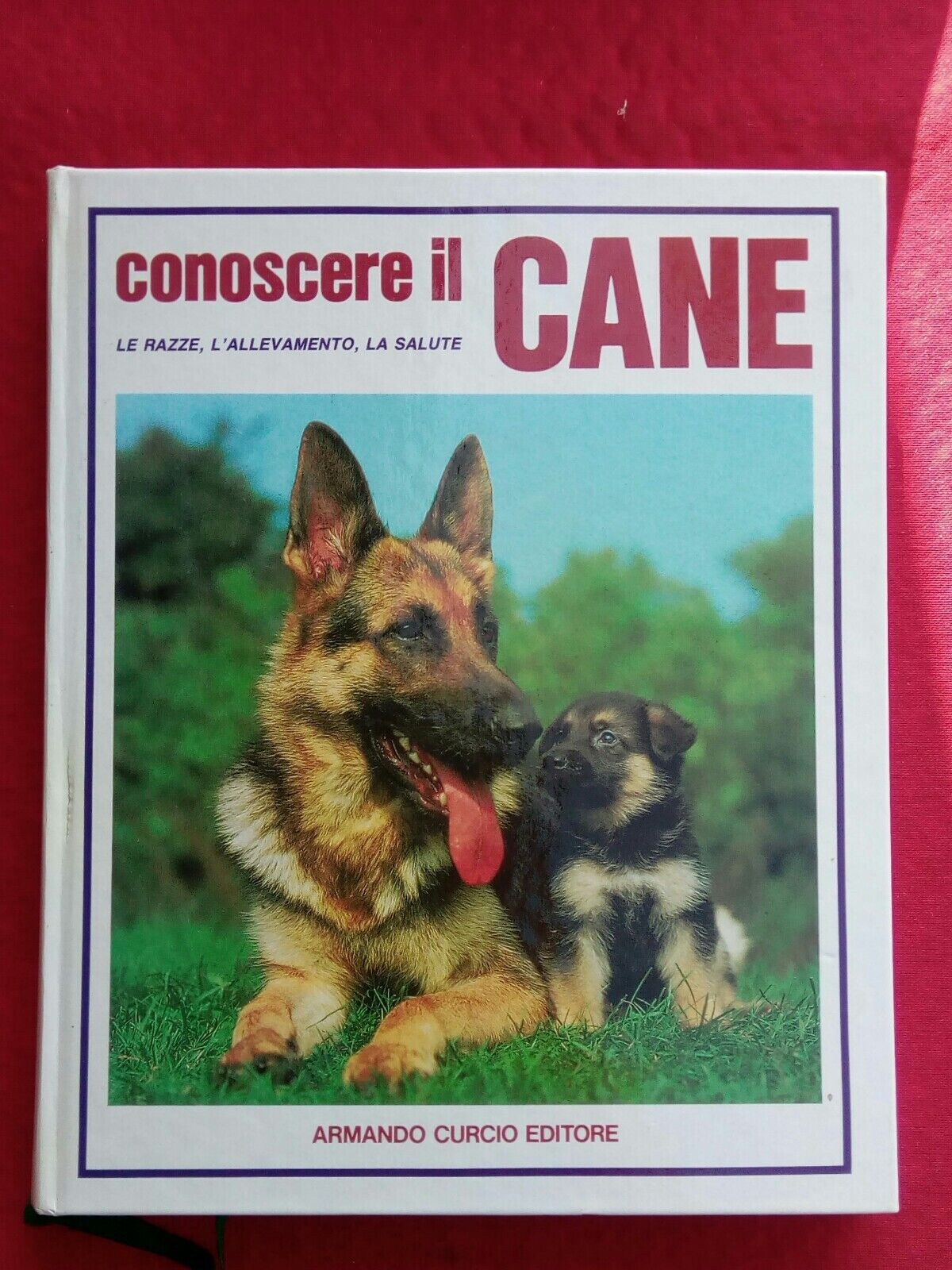 LIBRO, conoscere il cane, le razze, l'allevamento, la salute, A.Curcio Editore