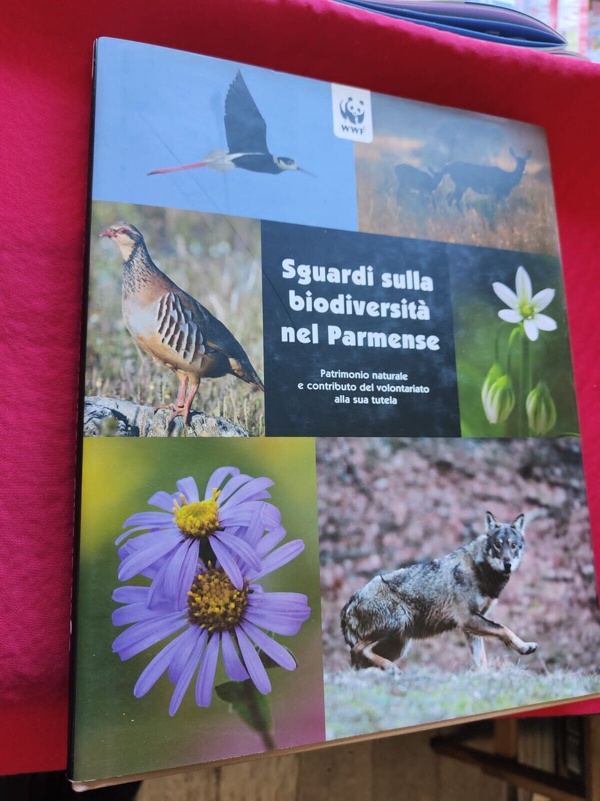 LIBRO - SGUARDI SULLA BIODIVERSITA' NEL PARMENSE-- WWF