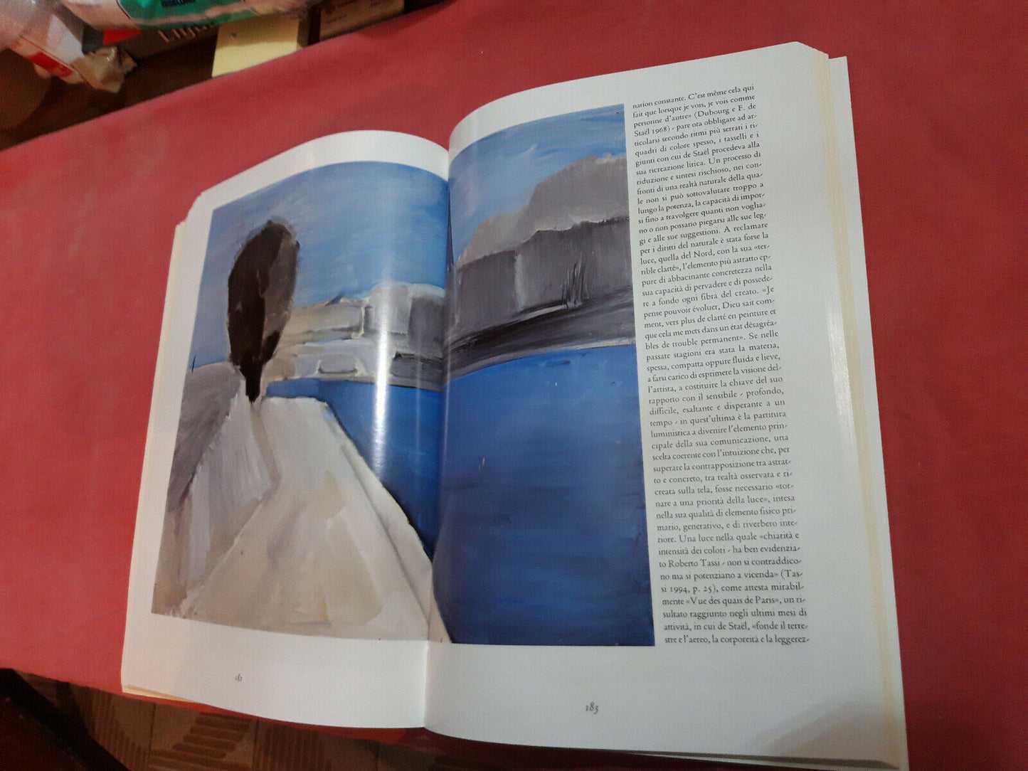 LIBRO " LA PASSIONE E L ARTE . edit Allemandi . L F Schianchi .................