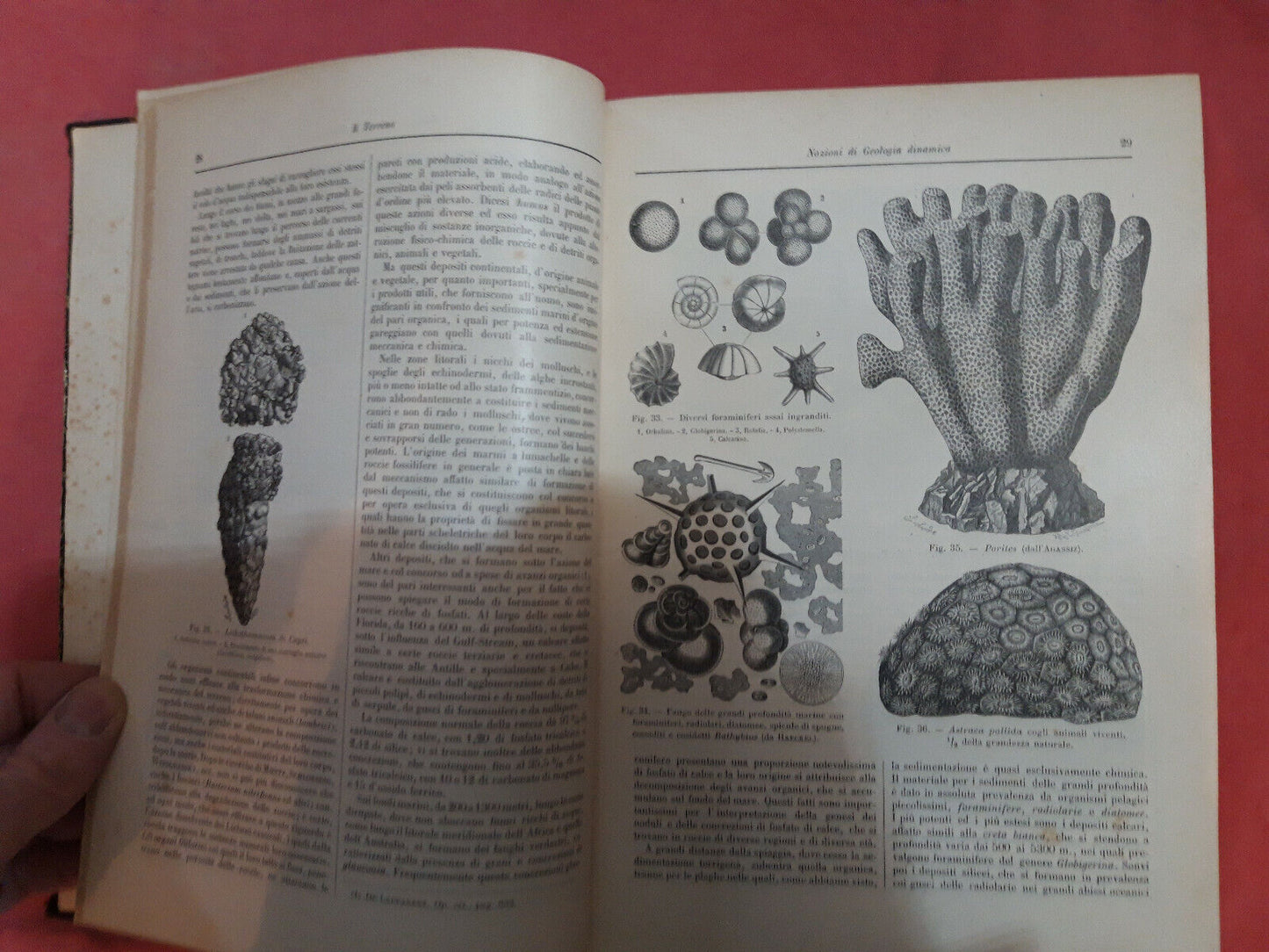LIBRO " IL TERRENO. Nozioni di geologia dinamica, storica e agraria .1898.....