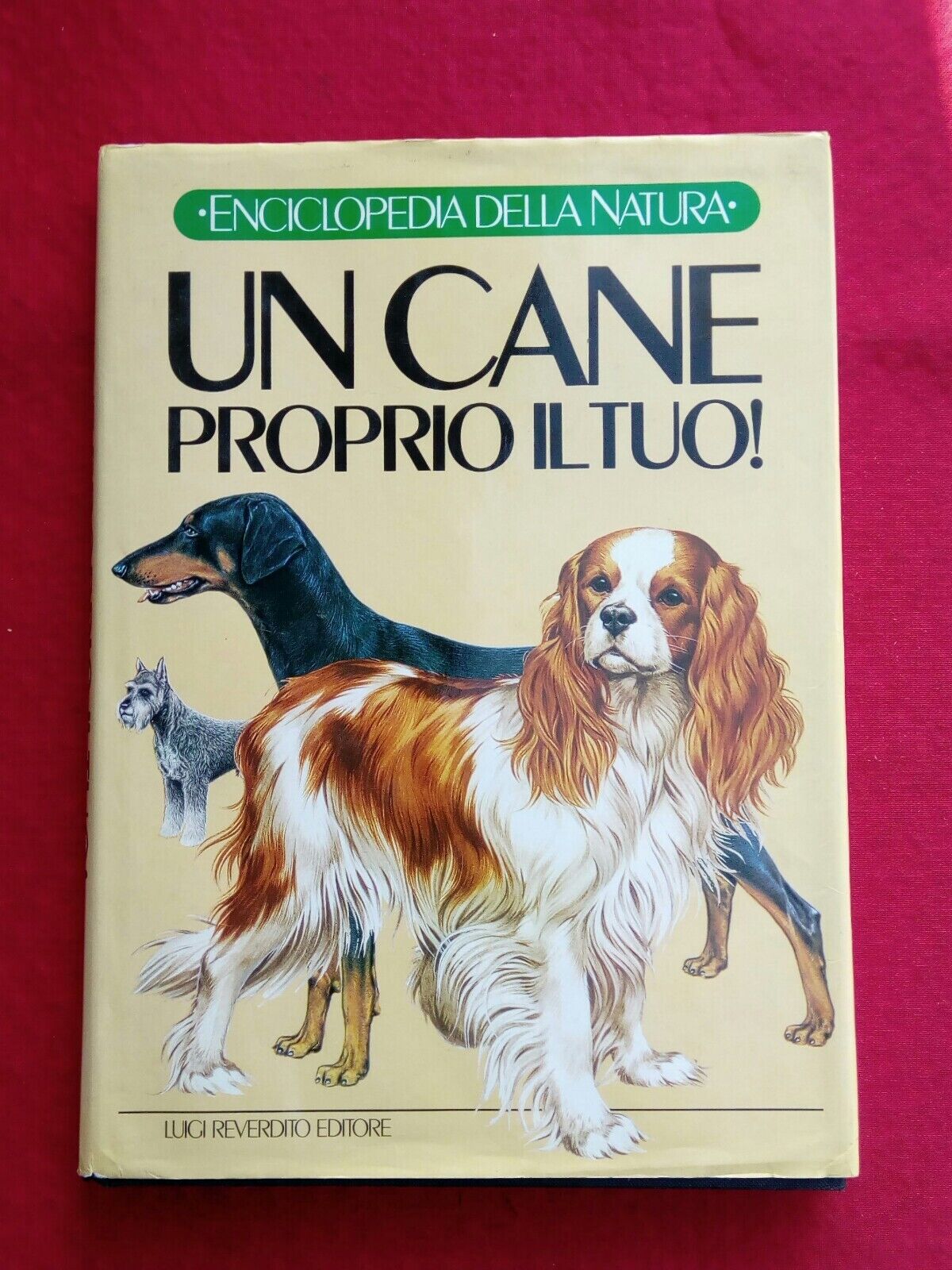 LIBRO, Enciclopedia della natura, Un cane proprio il tuo! L. Reverdito Editore