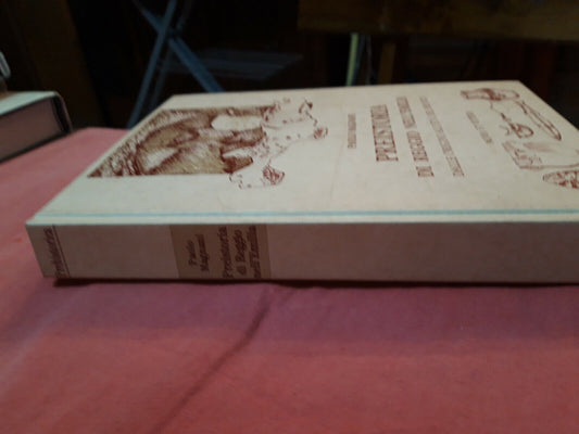 LIBRO " PREISTORIA DI REGGIO NELL'EMILIA -P. Magnani 1993 . ..................