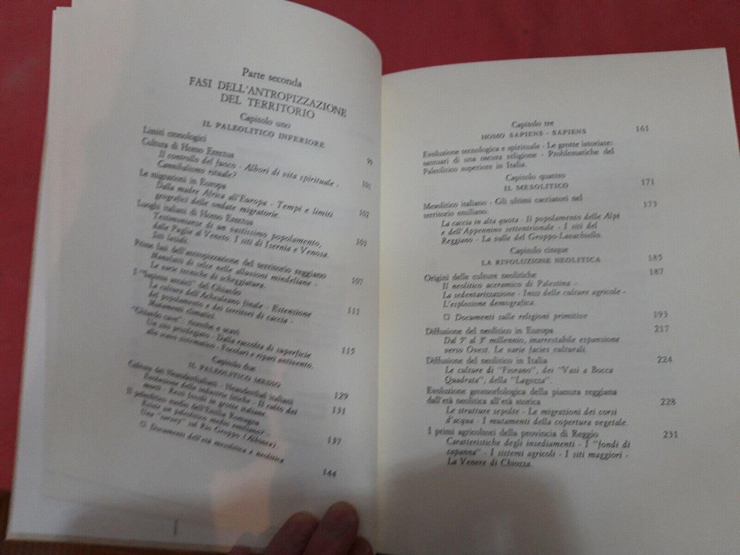 LIBRO " PREISTORIA DI REGGIO NELL'EMILIA -P. Magnani 1993 . ..................