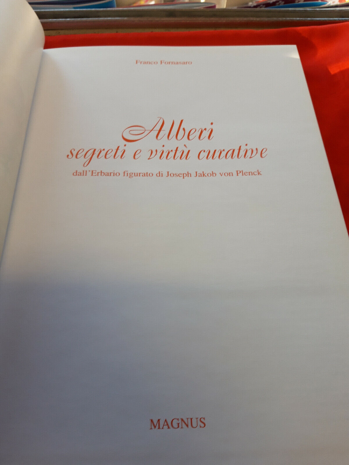 LIBRO - ALBERI SEGRETI E VIRTU' CURATIVE - F Fornasaro . 2003..................