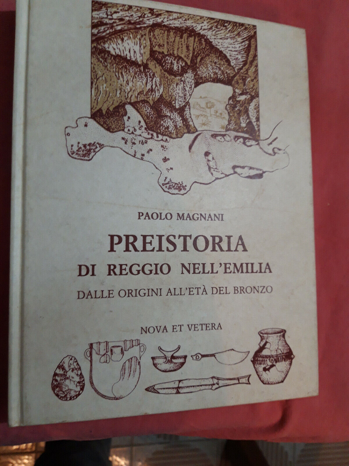 LIBRO " PREISTORIA DI REGGIO NELL'EMILIA -P. Magnani 1993 . ..................