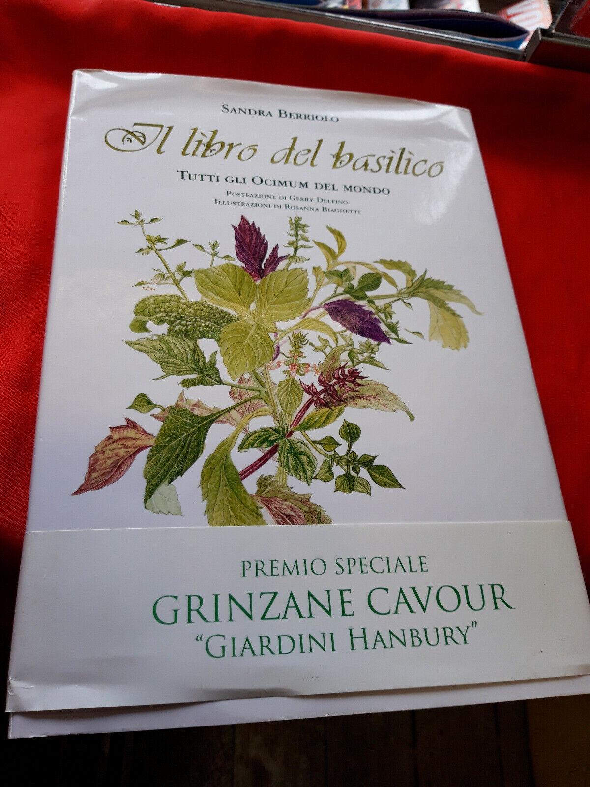 LIBRO - IL LIBRO DEL BASILICO di S Berriolo - Ed Delfino Moro .2003 .........