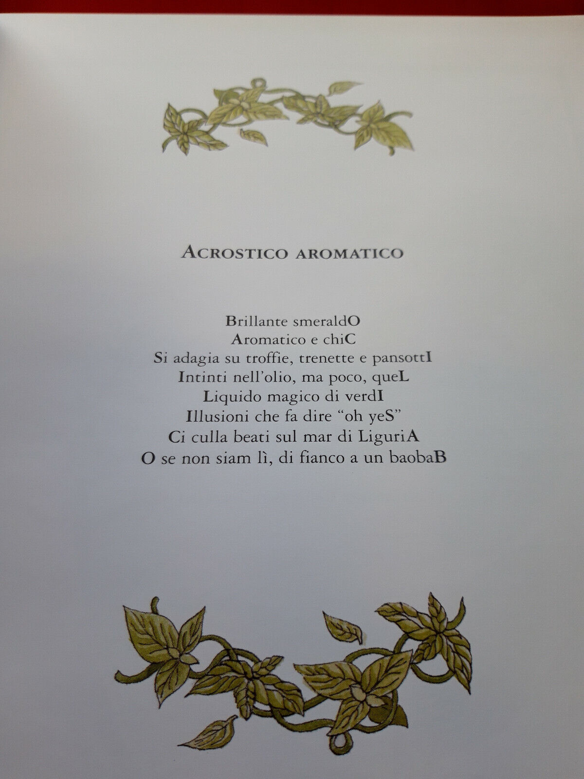 LIBRO - IL LIBRO DEL BASILICO di S Berriolo - Ed Delfino Moro .2003 .........
