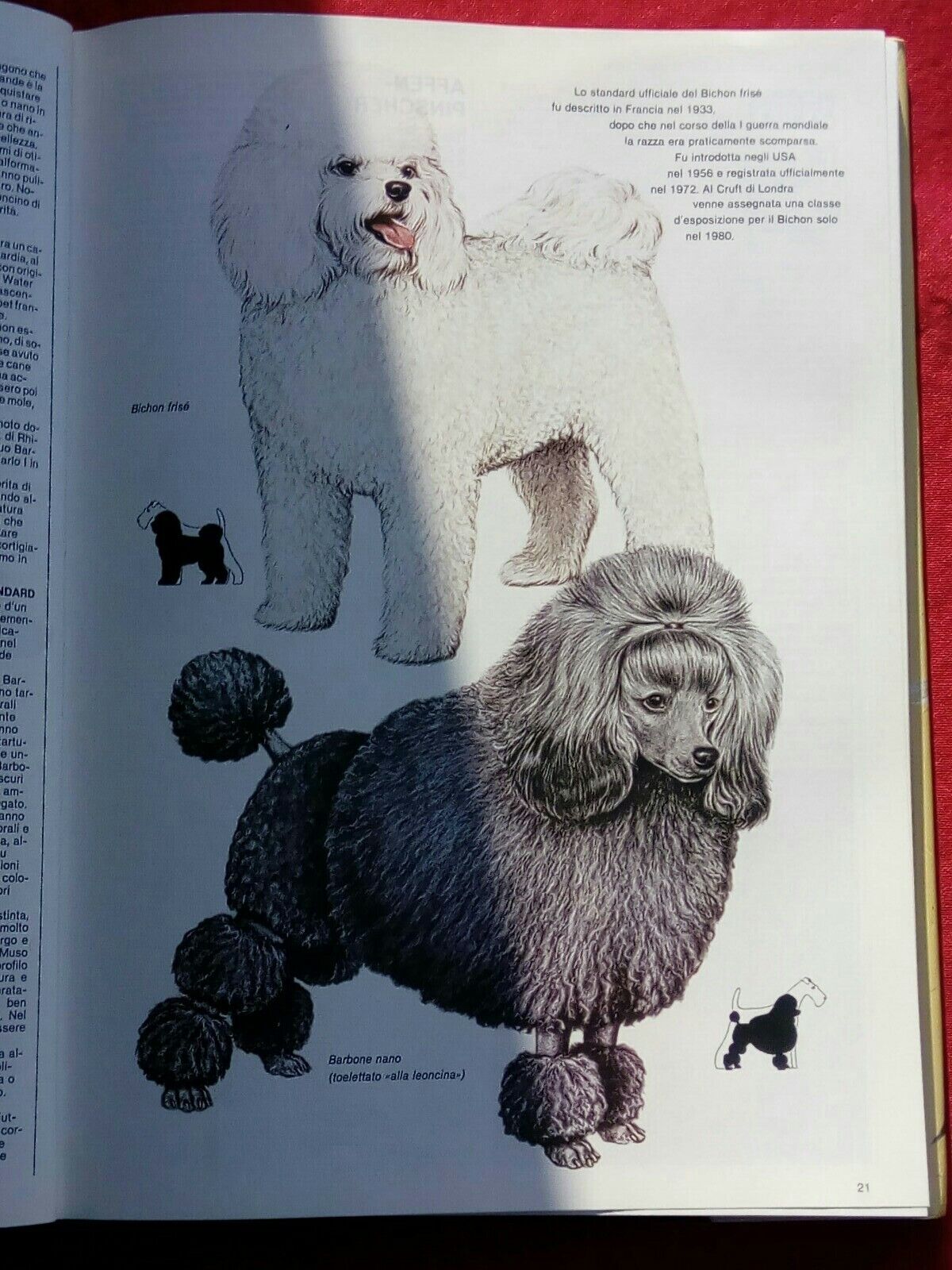 LIBRO, Enciclopedia della natura, Un cane proprio il tuo! L. Reverdito Editore