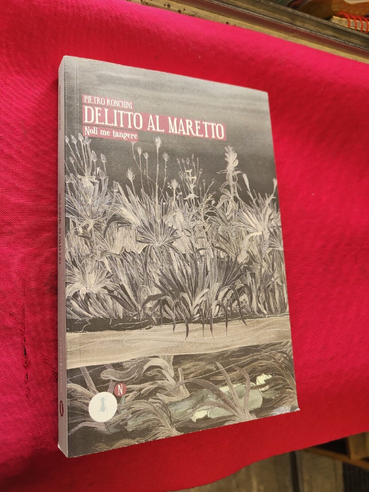 LIBRO -Delitto a maretto di Pietro Ronchini.Fedelo's Editore.Anno 2011 πππ
