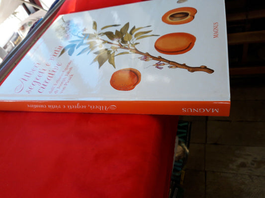 LIBRO - ALBERI SEGRETI E VIRTU' CURATIVE - F Fornasaro . 2003..................