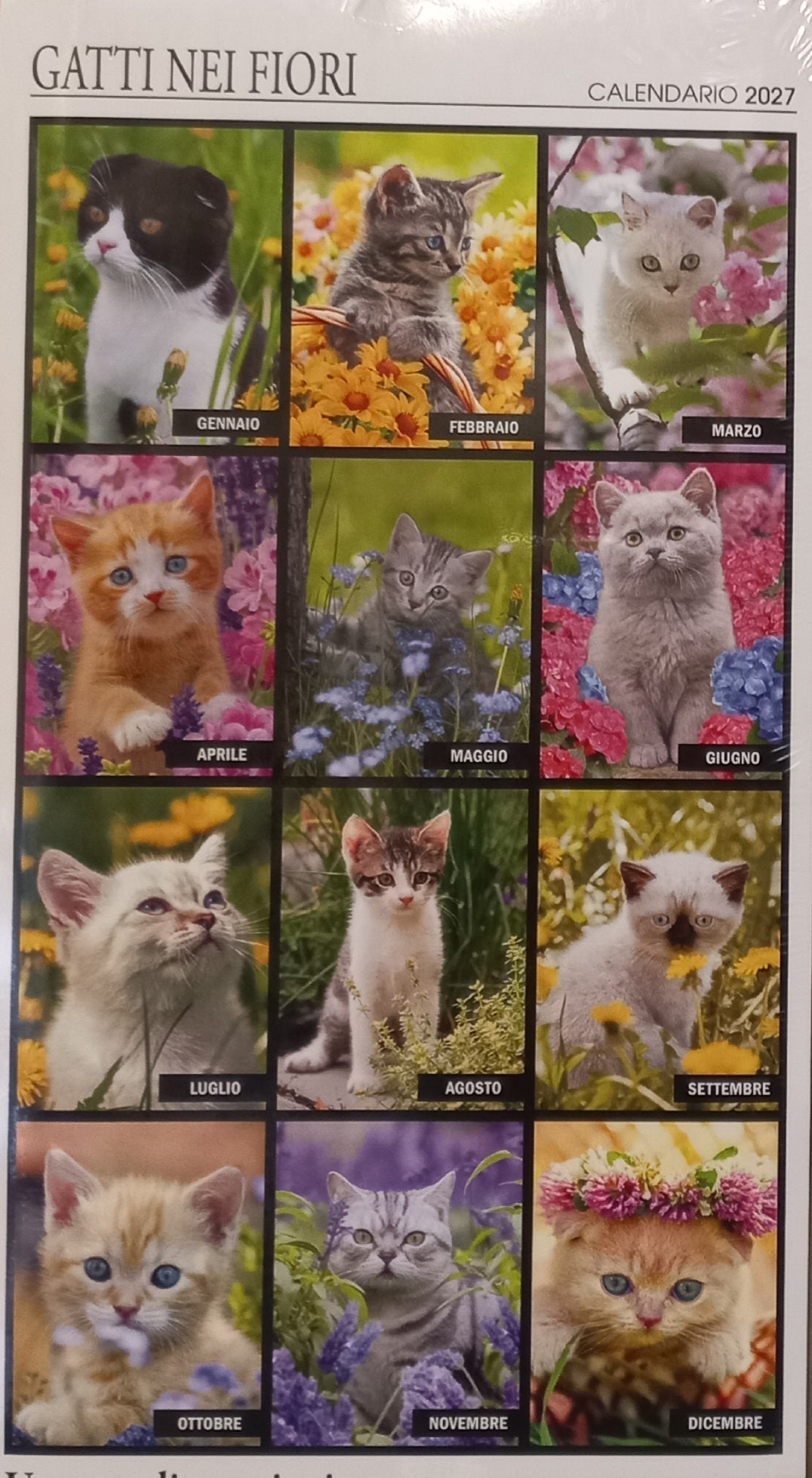 Calendario 2027 GATTI nei FIORI (formato 15x40)