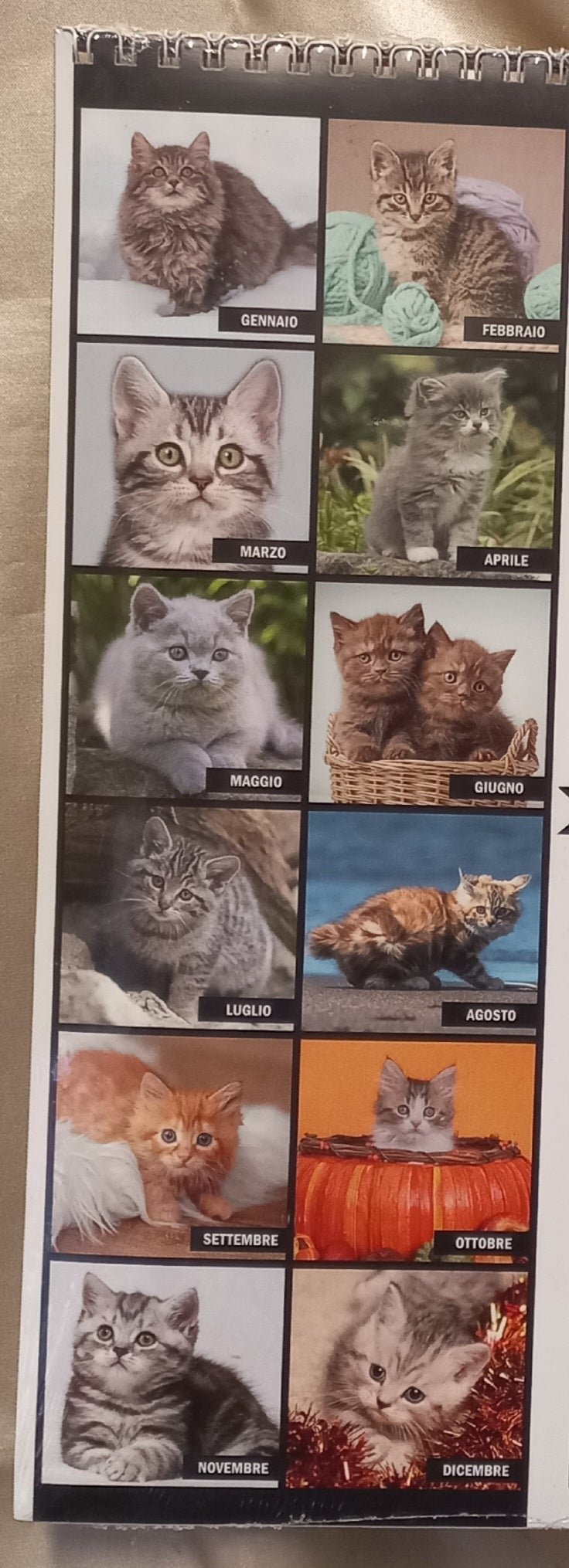 Calendario 2027 GATTI (formato 28x30)