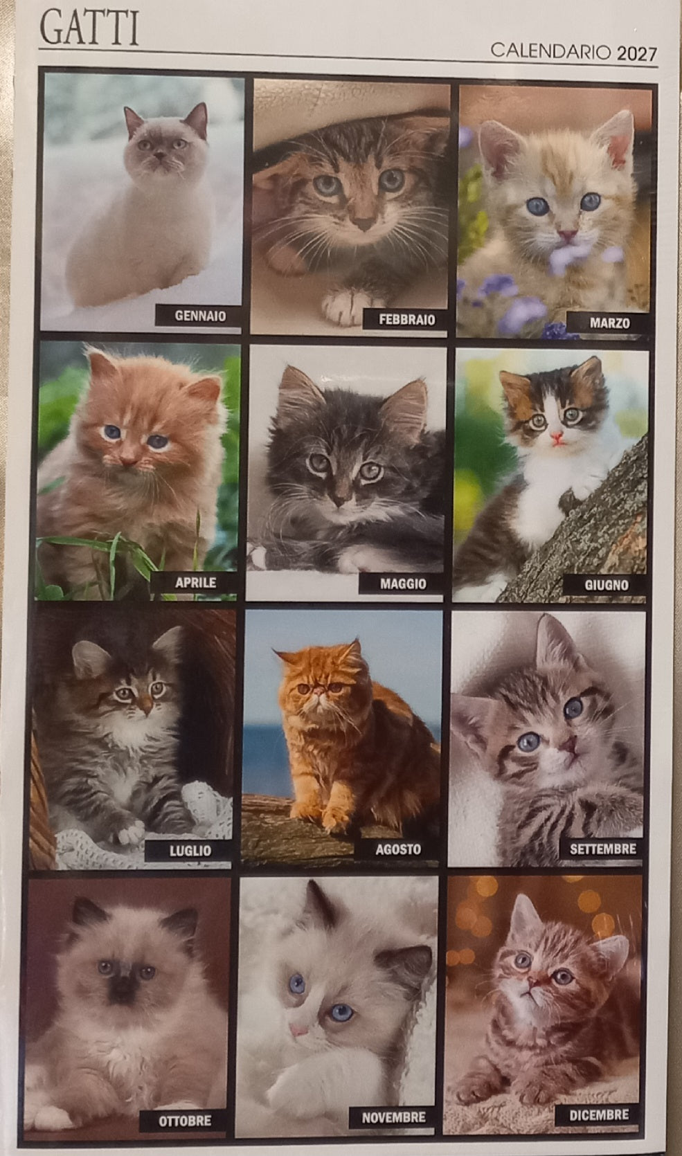 Calendario 2027 GATTI (formato 15x40)