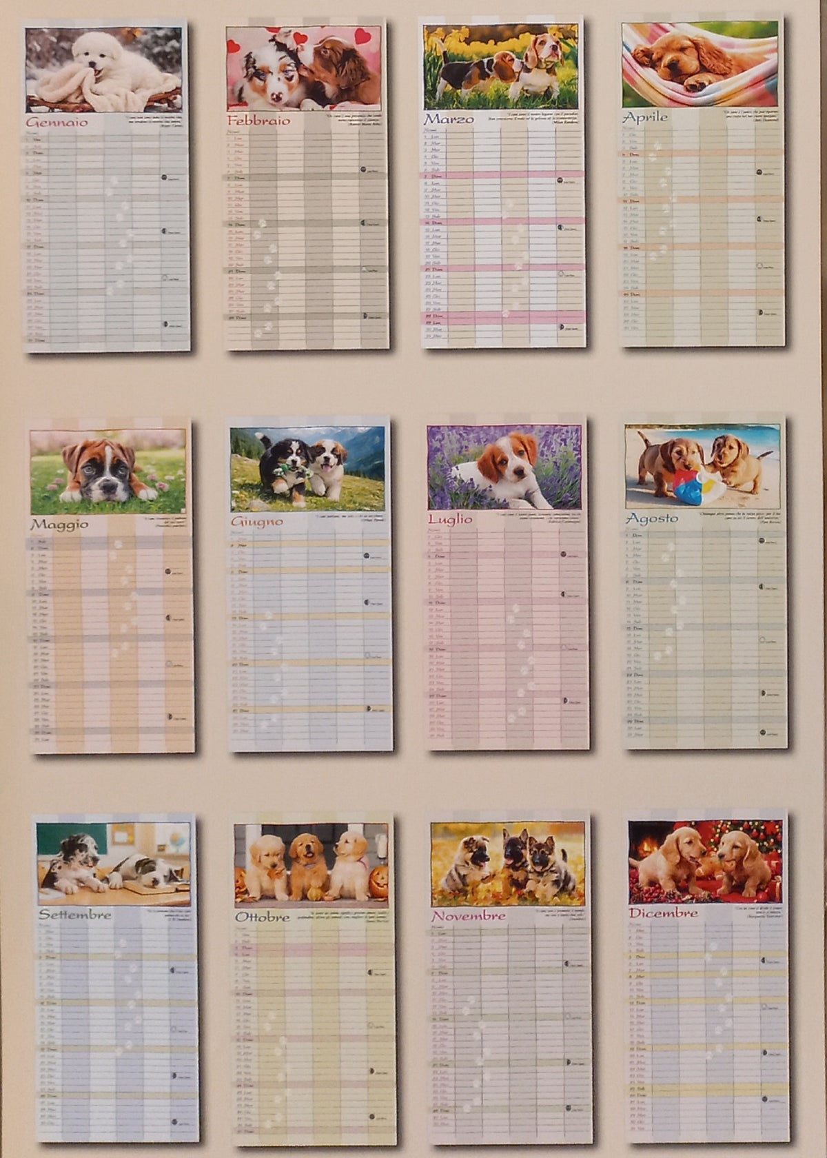Calendario agenda 2027 LOVELY DOGS