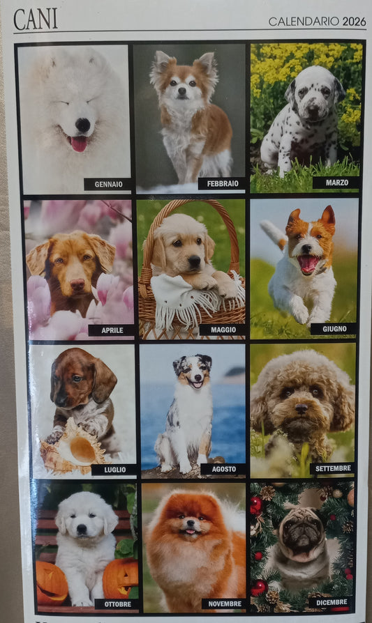 CALENDARIO 2026 CANI
