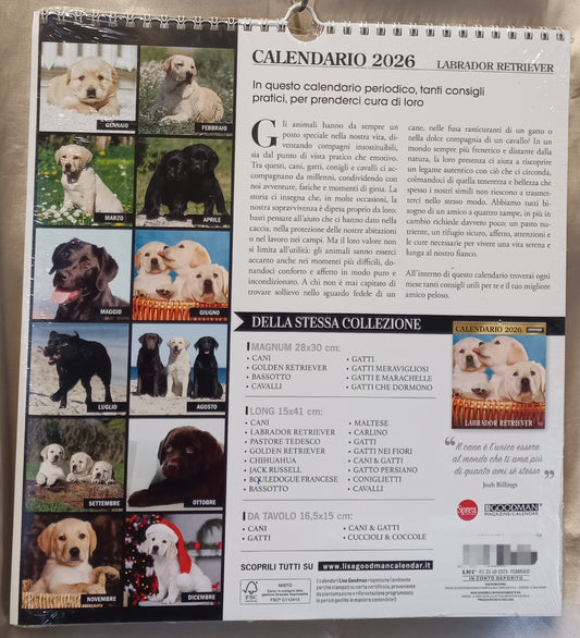 CALENDARIO 2026 CANI LABRADOR RETRIEVER