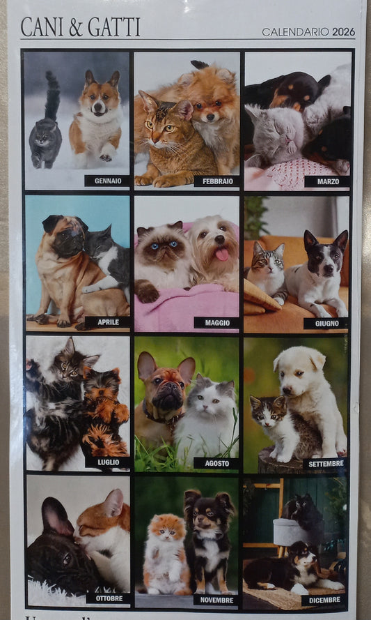 CALENDARIO 2026 CANI & GATTI Amici felici
