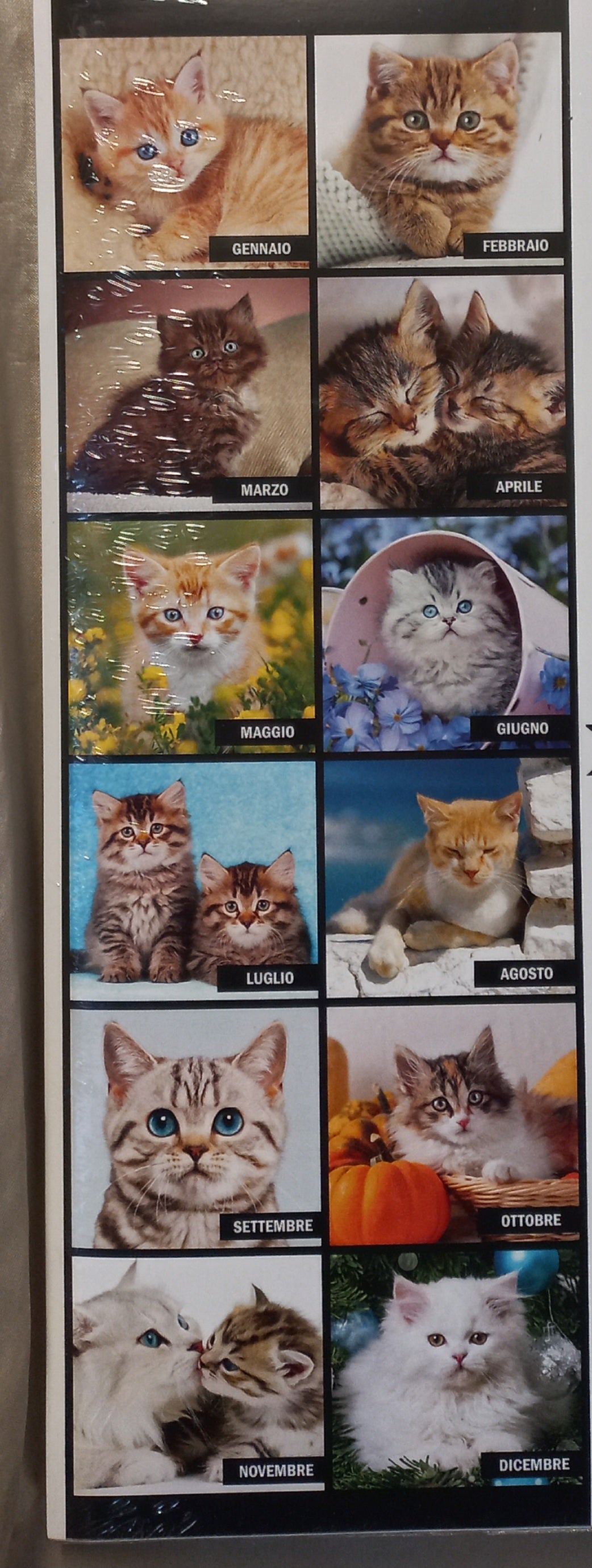 CALENDARIO Goodman 2026 GATTI