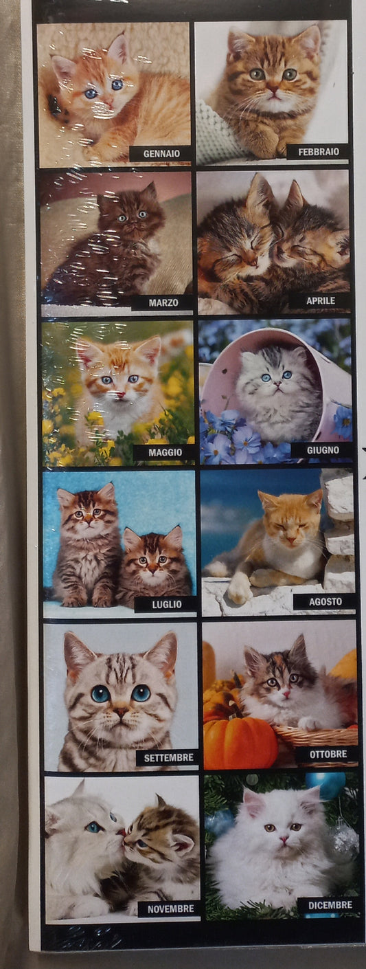 CALENDARIO Goodman 2026 GATTI