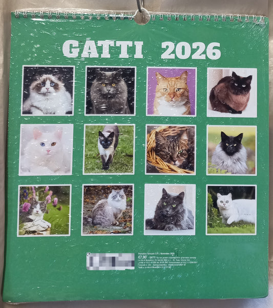 CALENDARIO 2026 GATTI