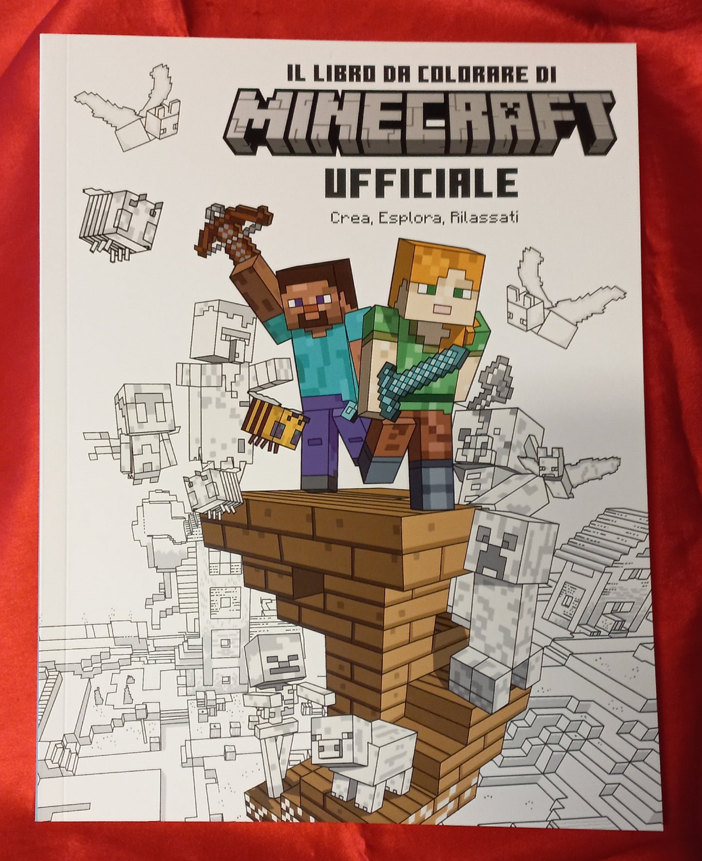 Il libro da colorare di MINECRAFT