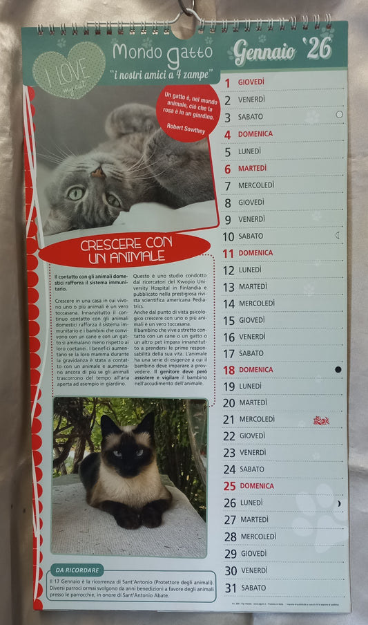 CALENDARIO 2026 MONDO GATTO