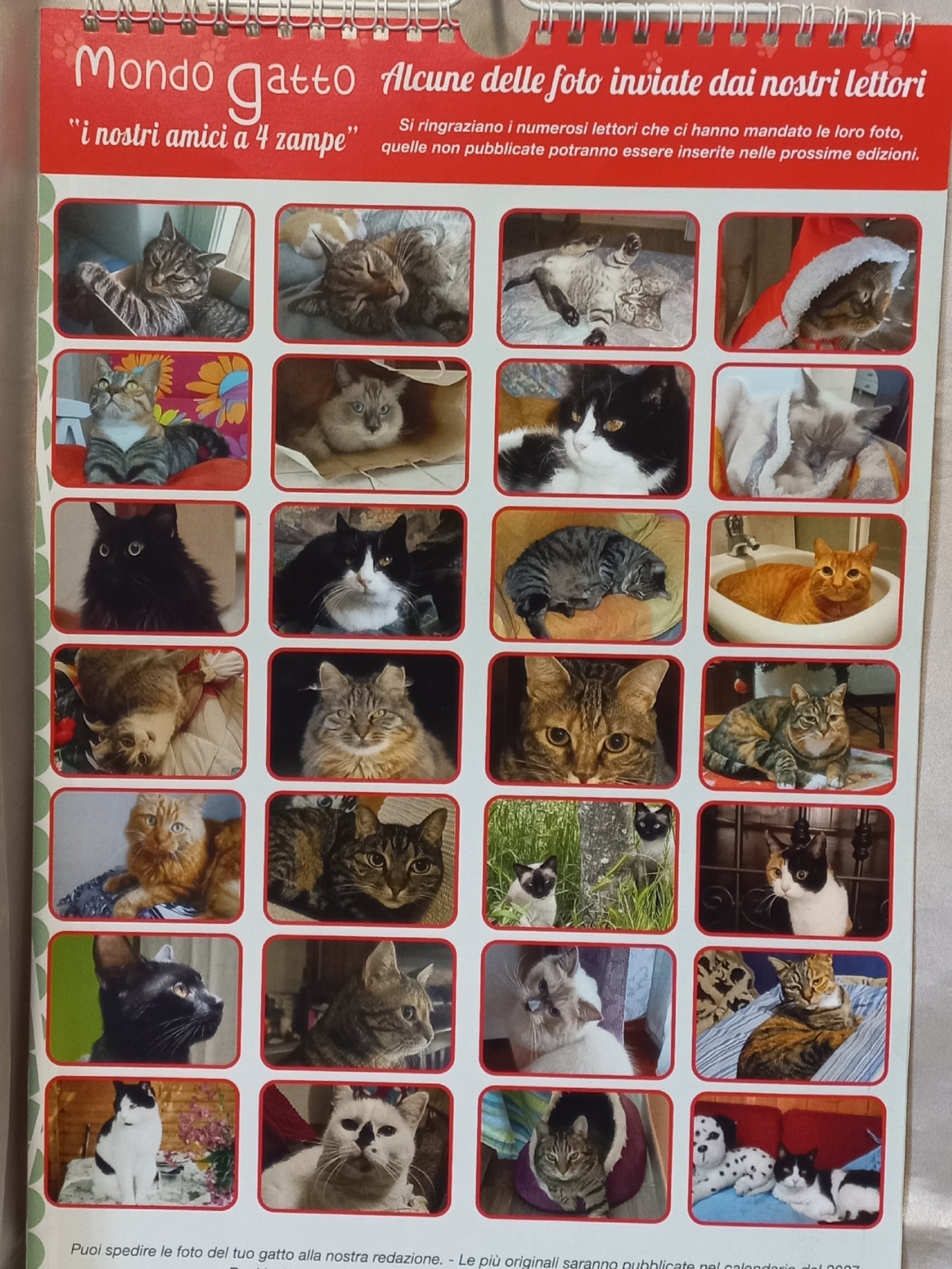 CALENDARIO 2026 MONDO GATTO