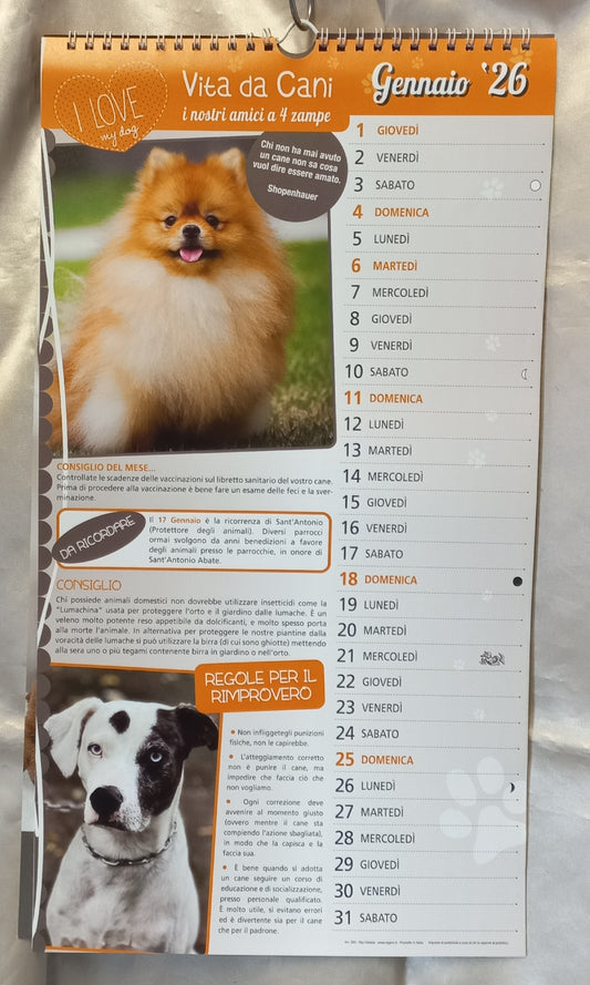CALENDARIO 2026 VITA da CANI