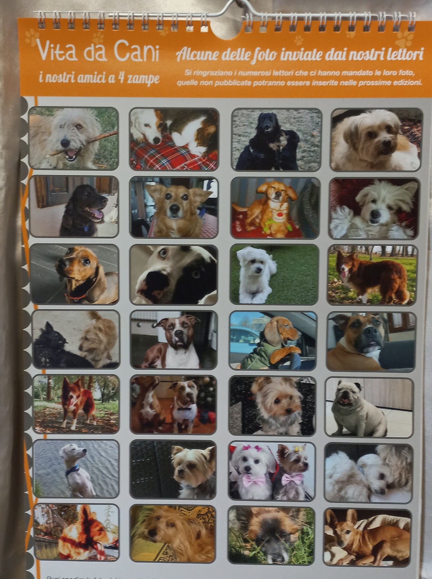 CALENDARIO 2026 VITA da CANI