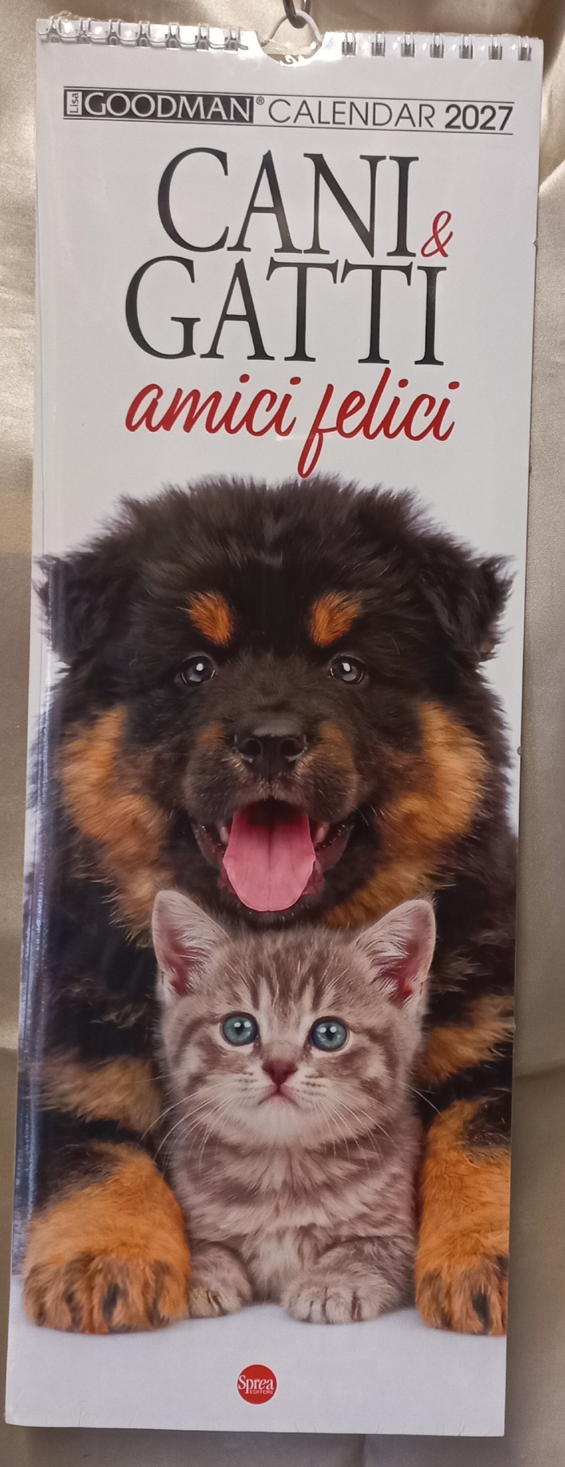 Calendario 2027 CANI & GATTI Amici felici  (formato 15x40)