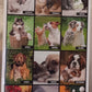 Calendario 2027 CANI & GATTI Amici felici  (formato 15x40)