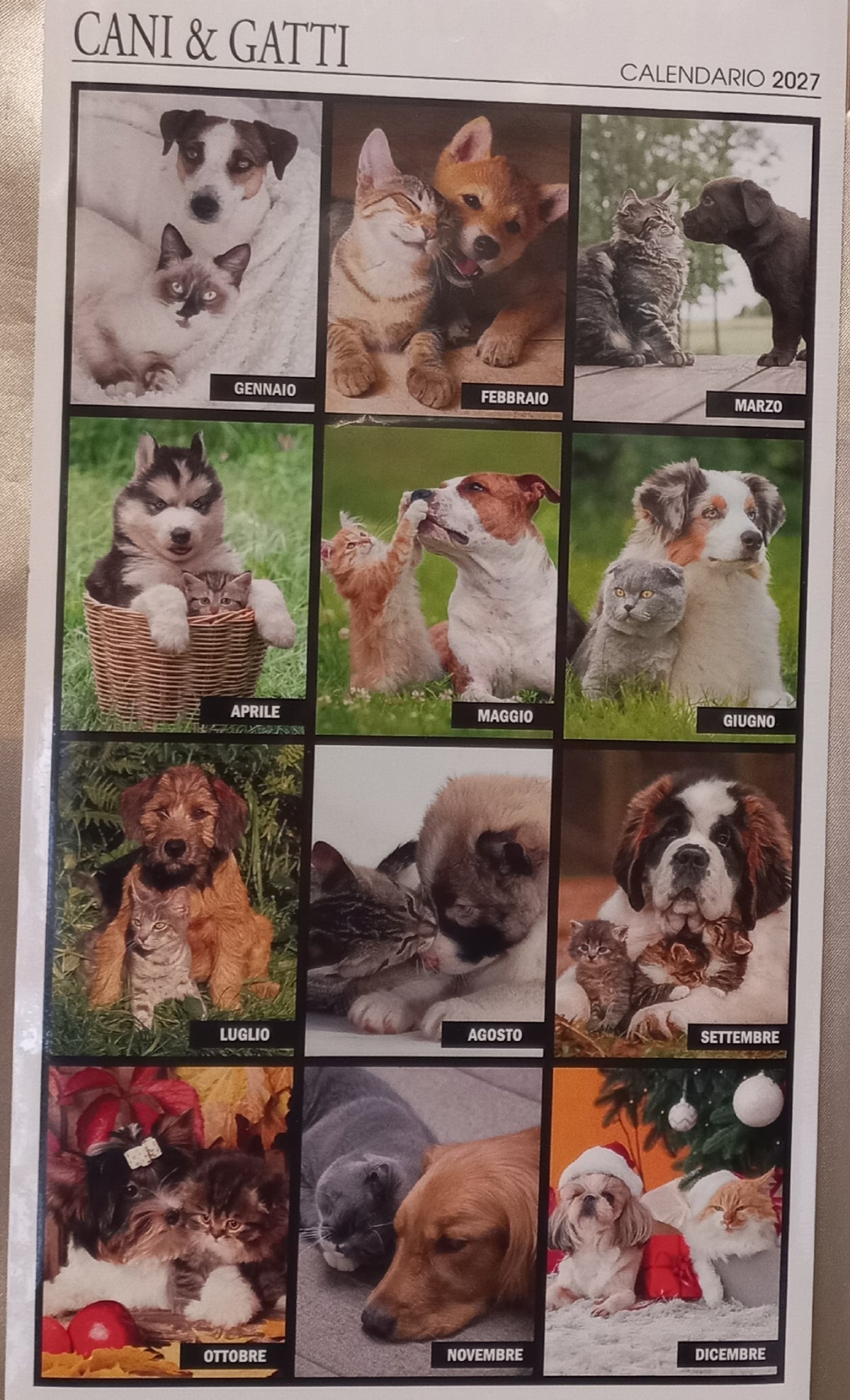 Calendario 2027 CANI & GATTI Amici felici  (formato 15x40)