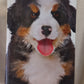 Calendario 2027 CANI  (formato 15x40)