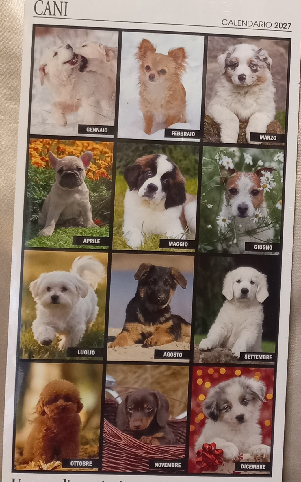 Calendario 2027 CANI  (formato 15x40)