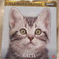 Calendario 2027 GATTI  (formato 28x30)