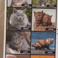 Calendario 2027 GATTI  (formato 28x30)