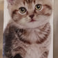 Calendario 2027 GATTI  (formato 15x40)