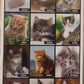 Calendario 2027 GATTI  (formato 15x40)