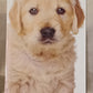 Calendario 2027 GOLDEN RETRIVER (formato 15x40)